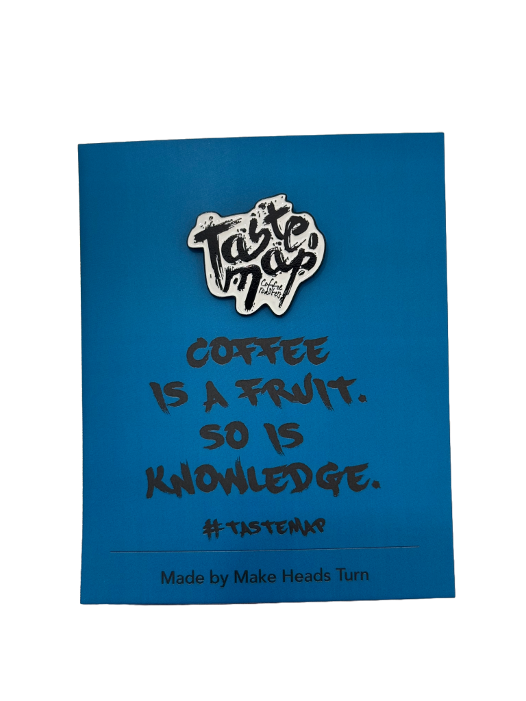 Taste Map Enamel Pin
